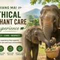 Chiang Mai Ethical Elephant Care Experience