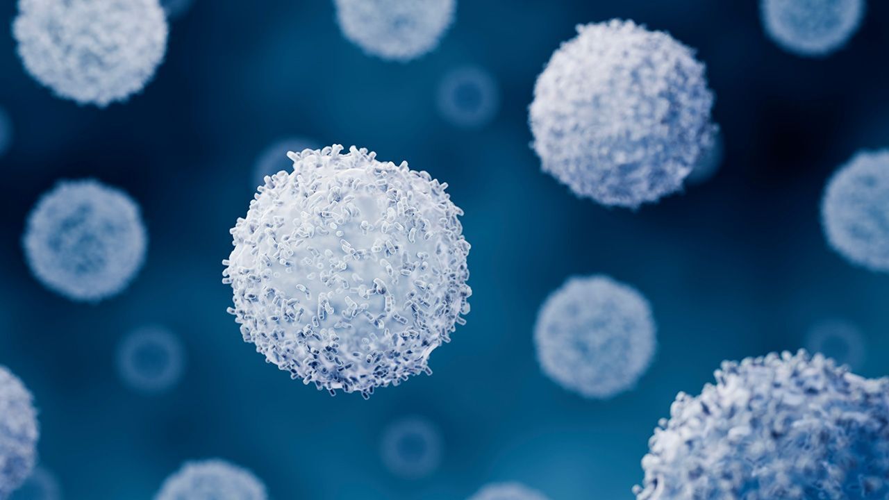 Hong Kong, Medical, CAR-T Manufacturing Services For Advanced Cell Therapy