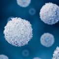 CAR-T Manufacturing Services For Advanced Cell Therapy