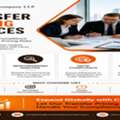 Transfer Pricing Services In India: Expert Support For Compliance & Audit