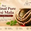 INR 555,  Buy Original Tulsi Mala Online At Best Price | The Stardust Studio