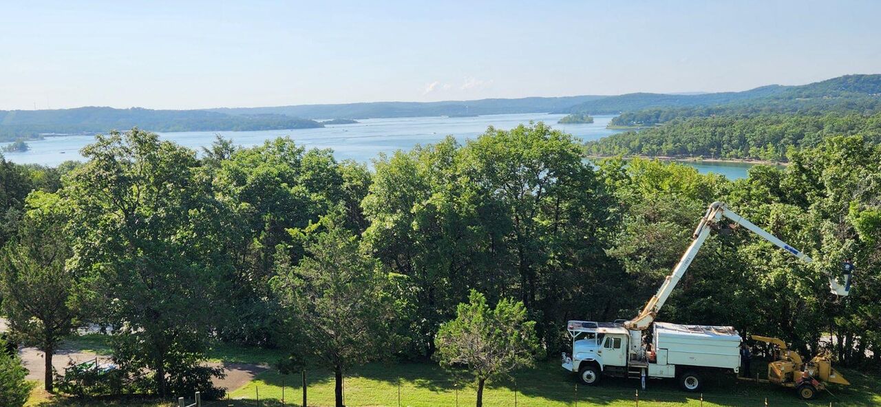 Los Angeles, Farm/Garden, Expert Tree Services In Branson, Missouri - RB Hardwoods & Tree Service