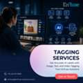 Get Accurate AI Labels With Best Tagging Services From EnFuse Solutions