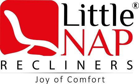 New Delhi, Furniture, Give Your Living Room A More Comfortable Feel With Little Nap