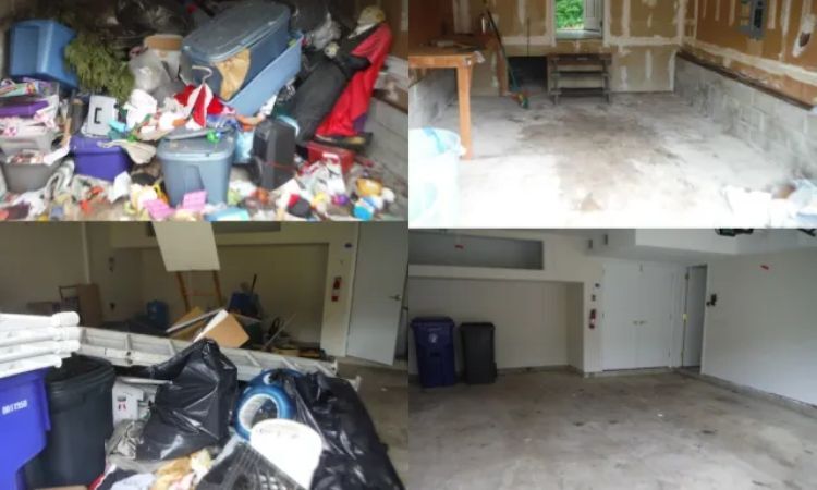 New York, Pest Control, Attic Clean Out Ocean County | Fast & Easy
