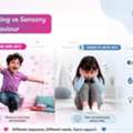 Sensory Seeking Vs Sensory Avoiding In Children: Signs And Support