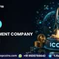 Turn Your Blockchain Vision Into A Fundraising Platform With ICO Development