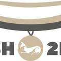 GBP 11,  Best Collar For Dogs That Pull | 2Posh2Pull