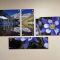 Digital Print In Denver Metro: Custom Digital Printing For Local Businesses