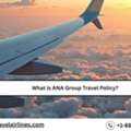 What Is ANA Group Travel Policy?