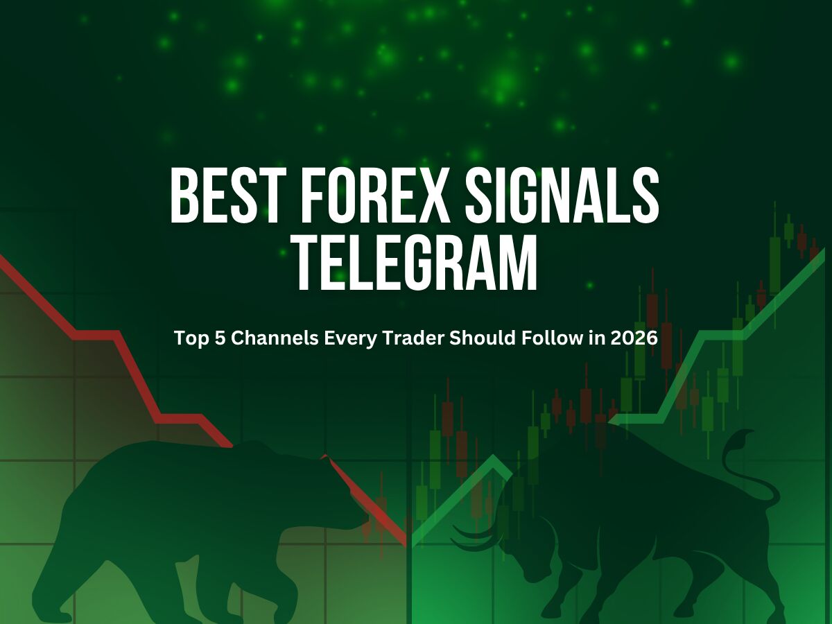 Dubai, Financial, Best Forex Signals Telegram Channels | Carlos And Company