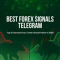 Best Forex Signals Telegram Channels | Carlos And Company