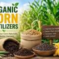 CAD 55,  Corn Nutrients Locked In Soil? Improve With Corn Fertilizer &ndash; Buy Now