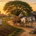 Bull Conservation And Rural Employment: Creating Opportunities In Villages
