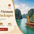Discover The Best India To Vietnam Tour Packages For An Unforgettable Journe