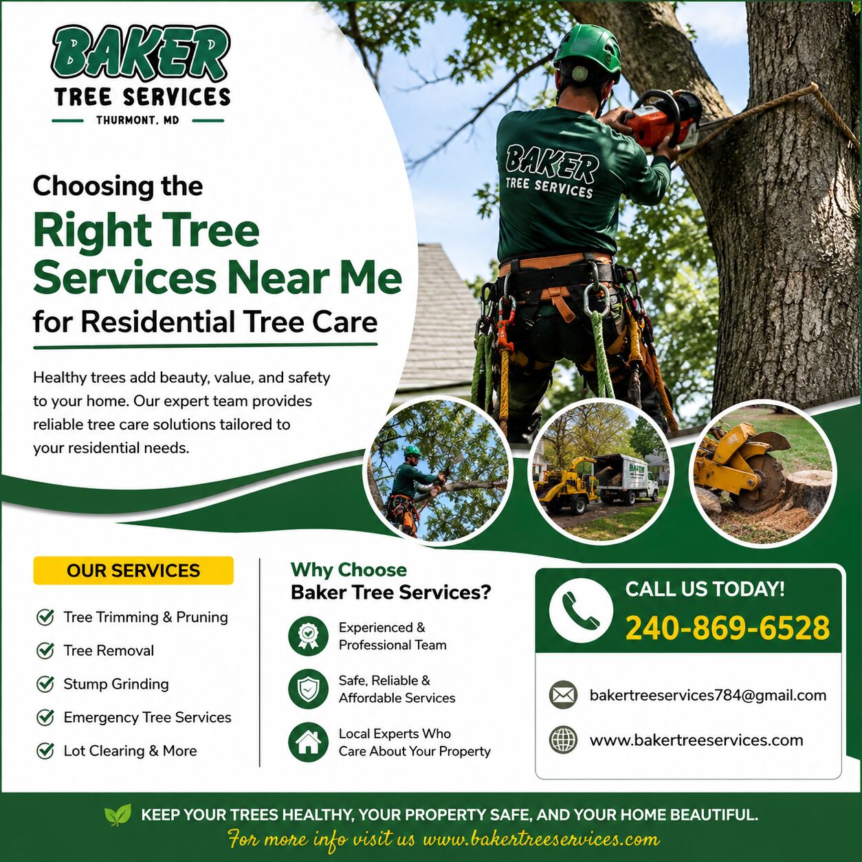 Austin, Business, Dependable Tree Service Montgomery County For Residential Tree Maintenance