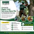 Dependable Tree Service Montgomery County For Residential Tree Maintenance