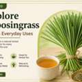 Lyposingrass: A Simple Guide To Growing And Caring