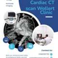 Cardiologist Wollert