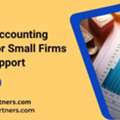 Offshore Accounting Services For Small Firms | Expert Support