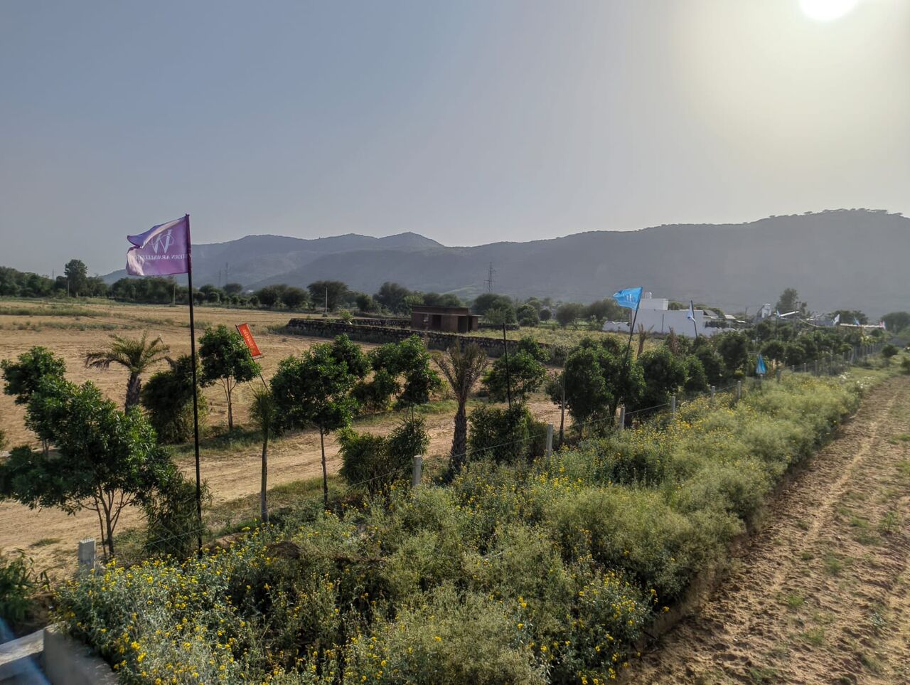 New Delhi, Real Estate, Farmhouse In Shahpura Near Delhi Jaipur Expressway