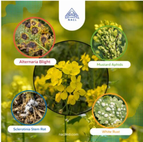 Hyderabad, Farm & Garden, INR 500,  Advanced Crop Protection Solutions For Indian Farms | NACL