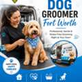 At-Home Mobile Dog Groomer Fort Worth | Chewbarka Grooming