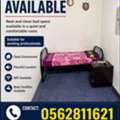 SAR 250/month,  Bed Space Available (Only Karnataka)
