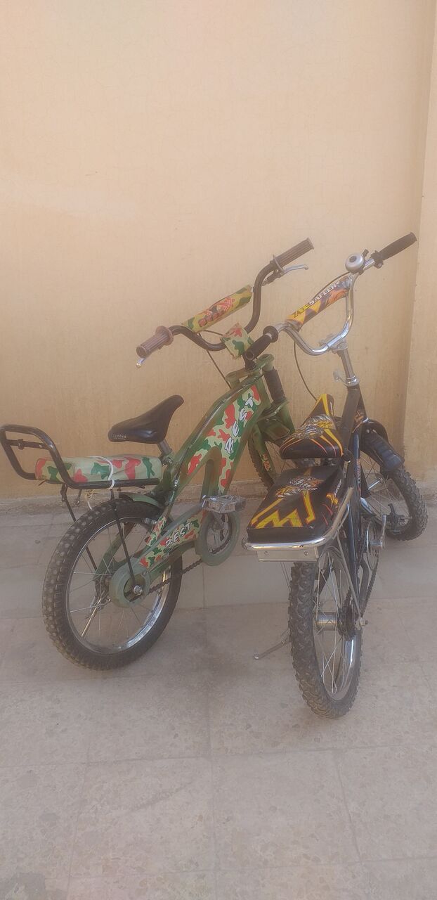Riyadh, Bicycles, SAR 100,  Throw Away   Price