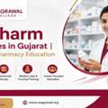 D Pharm Colleges In Gujarat | Quality Pharmacy Education