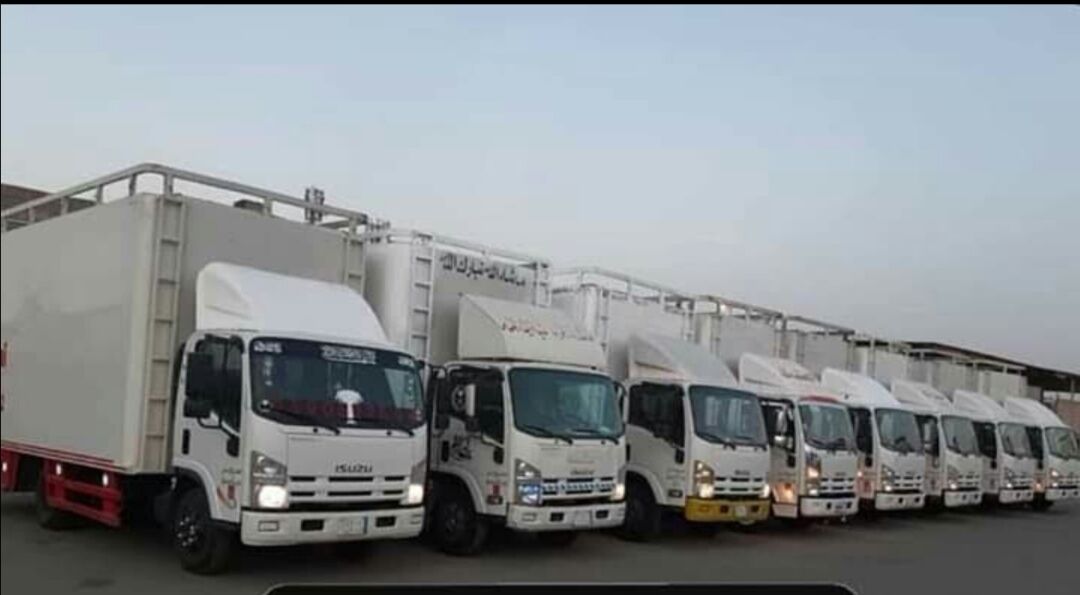 Al Malaz, Relocation, Pakistani Movers Packers Cleaners Pest Controls Services Total Home Solutionists