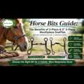 Best Horse Bits For Beginners, Training & Competition Guide &ndash; The Epic Animal