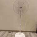 SAR 100,  Classpro Stand Fan (In Excellent Condition)