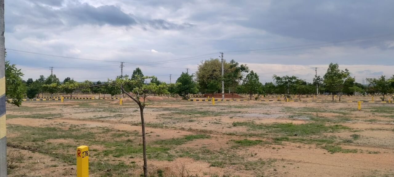 Hyderabad, Residential Plots, INR 16499,  220 Sq. Yard,  Hmda Approved Open Plots For Sale Near Skill University