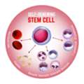 Heim Regenerative Medicine Center