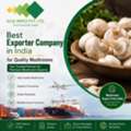 Best Exporter Company In India For Quality Mushrooms | Glee Impex