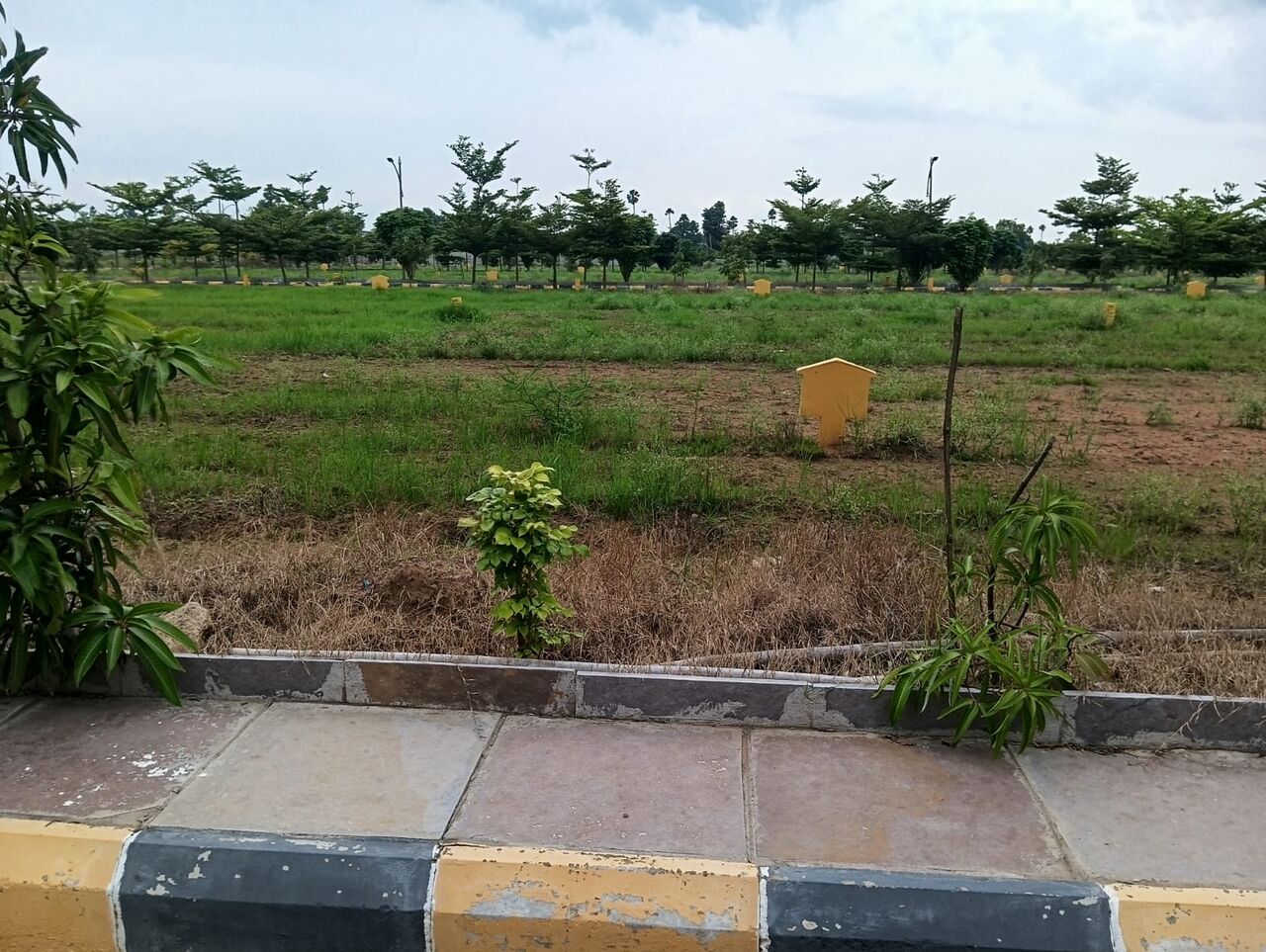 Hyderabad, Residential Plots, INR 28999,  263 Sq. Yard,  Gated Plots In Gollor - Muchinthal Near Statue Of Equality 9701498367
