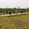 INR 28999,  233 Sq. Yard,  HMDA Plots In Gollor Near Statue Of Equality - Hyderabad 9701498367