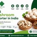 Best Mushroom Exporter In India &ndash; GLEE IMPEX