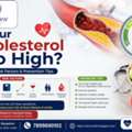 Is Your Cholesterol Too High? Know The Risk Factors & Prevention Tips &ndash; Dr. Mouna HN