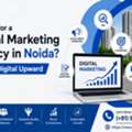 Looking For A Digital Marketing Agency In Noida? Choose Digital Upward