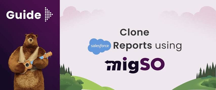 Faridabad, Business, Clone Reports In Salesforce