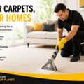 Carpet Cleaning Pearsall &ndash; Quality Service With A Careful Approach