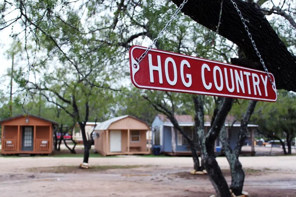 New York, Creative, Experience Thrilling After-Dark Hog Hunting Adventures In Texas