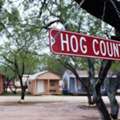 Experience Thrilling After-Dark Hog Hunting Adventures In Texas