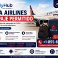¿Qué Debes Saber Sobre El Equipaje Permitido De Delta Airlines?
