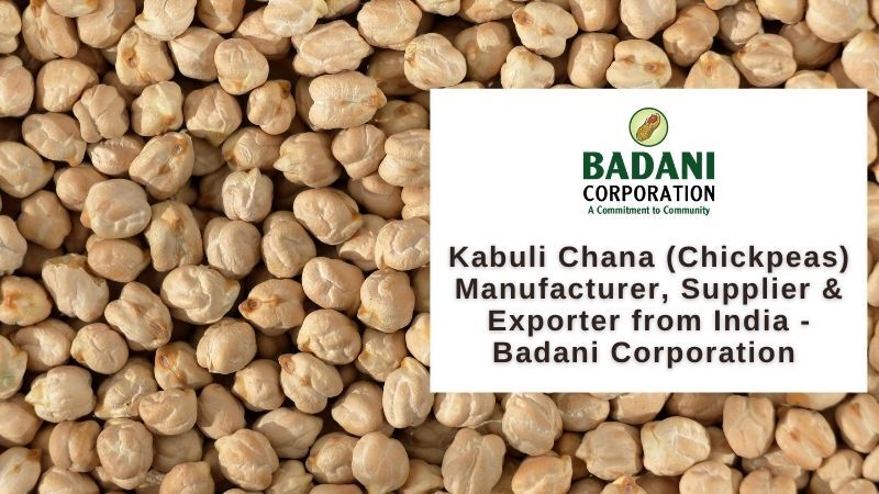 Mumbai, Food, Kabuli Chana (Chickpeas) Supplier & Exporter From India &ndash; Badani Corporation