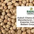 Kabuli Chana (Chickpeas) Supplier & Exporter From India &ndash; Badani Corporation