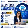 FREE Salesforce Data Cloud Online Demo &ndash; Join Now!