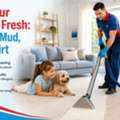 Carpet Cleaning Everton Park &ndash; Refresh Your Carpets With Care